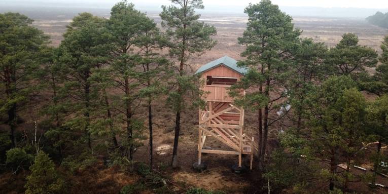 Ein Turm aus Holz in einer Moorlandschaft